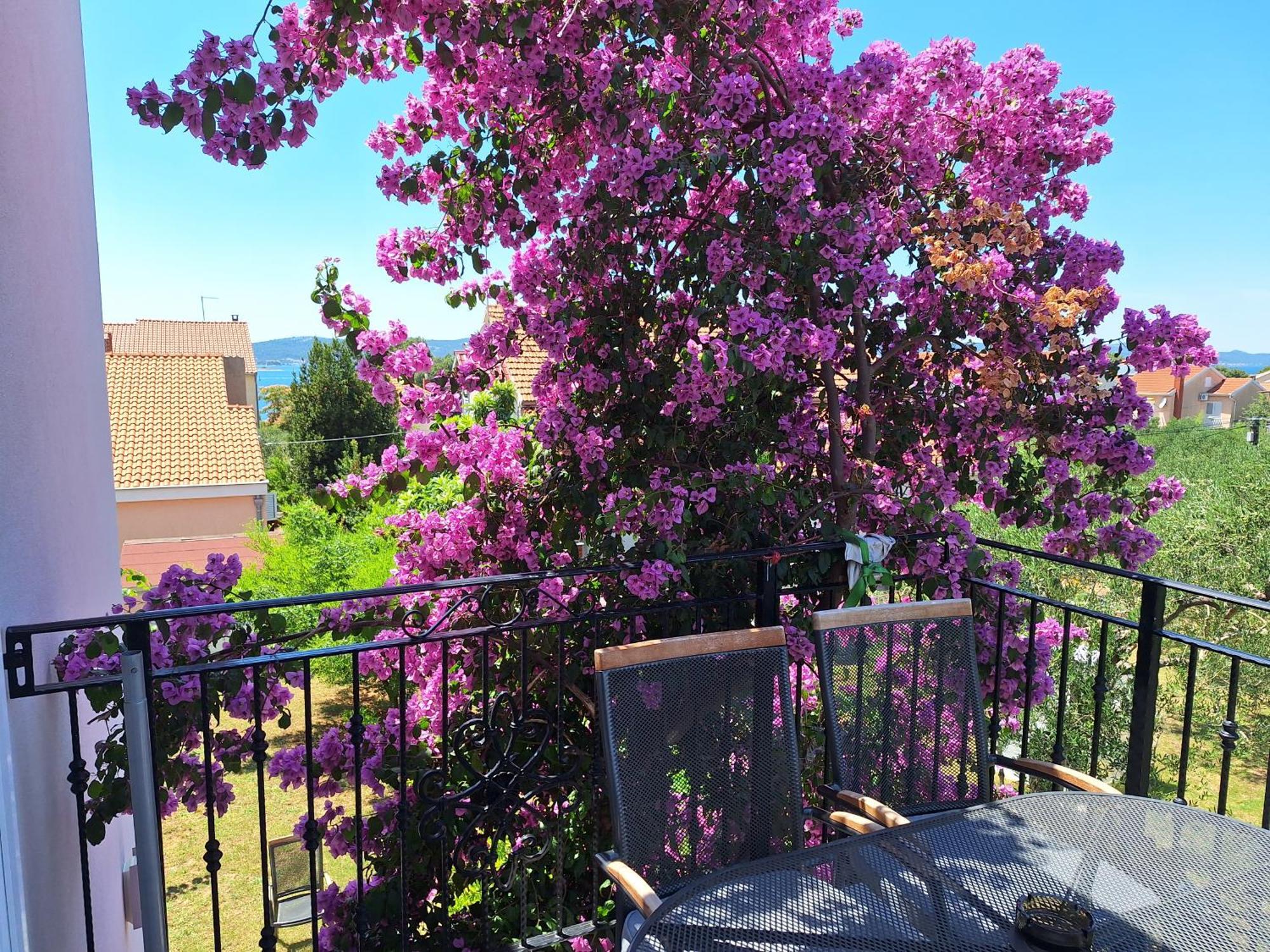 Apartments Vodopija 300M To The Beach Sveti Filip i Jakov Room photo