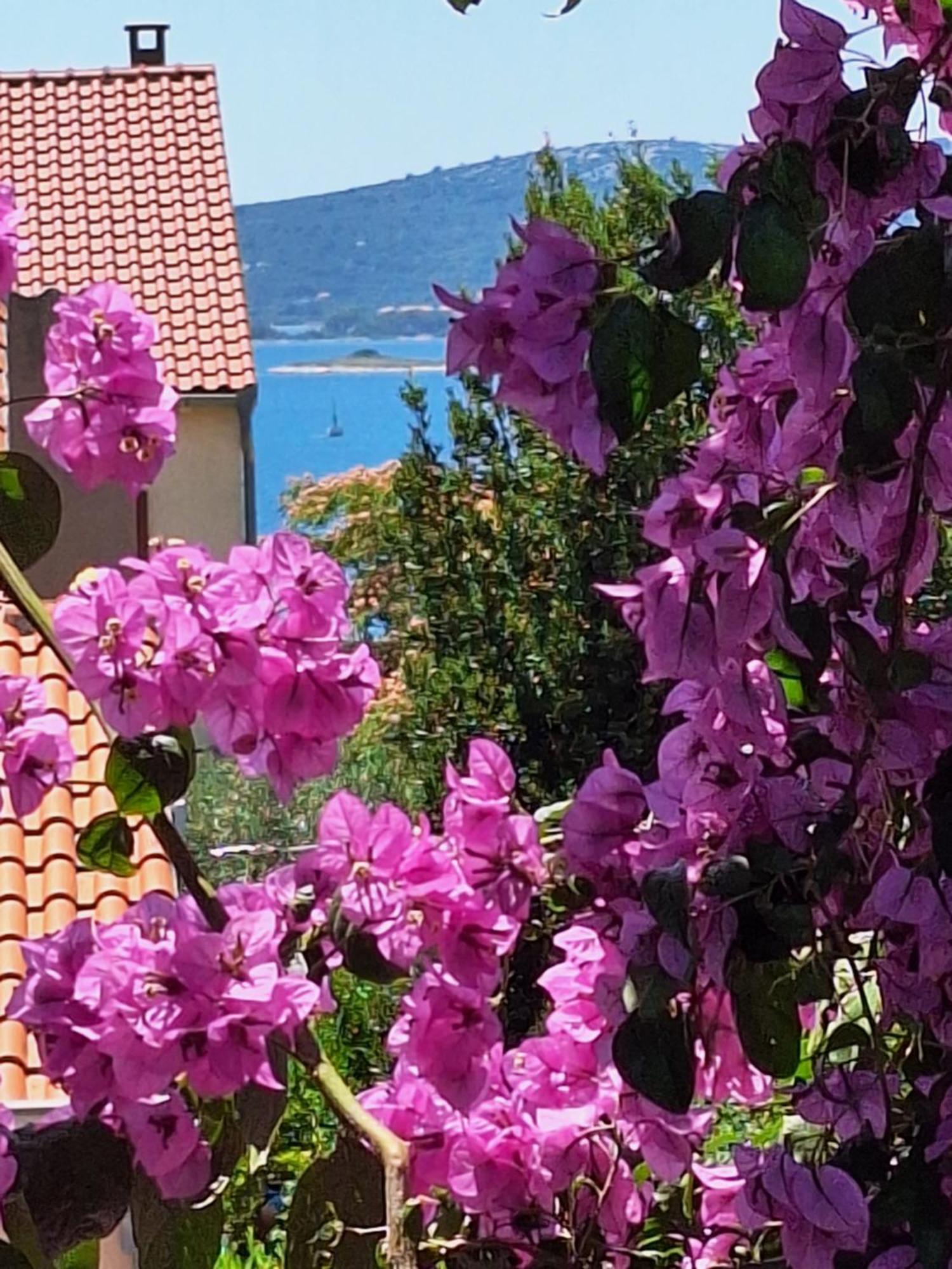 Apartments Vodopija 300M To The Beach Sveti Filip i Jakov Room photo